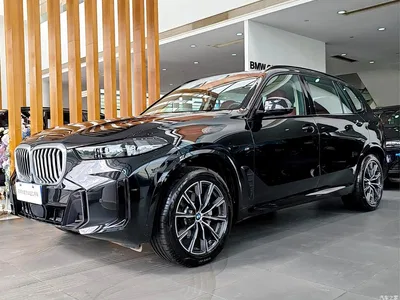 2025 BMW X5 Model xDrive 30Li M Sport Blackout Package, фото 1, лот 10428290