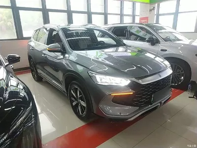 2024 BYD Song Pro New Energy Glory Edition DM-i 71KM Pilot, фото 4, лот 11195546