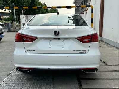 2021 Changan Ruicheng CC Blue Whale Edition 1.5T DCT Elite, фото 4, лот 10274005