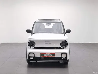 2025 Geely Galaxy Panda Model Year 210km Panda Kart, фото 3, лот 10394249