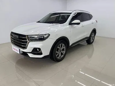 2021 Haval H6 Model National Trend Edition 1.5T Auto Champion, фото 1, лот 10435416