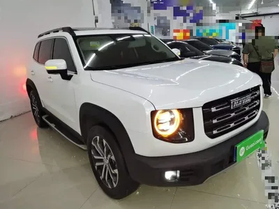 2022 Haval Big Dog 1.5T DCT FWD Border Collie Edition, фото 4, лот 10361242