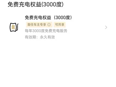 2020 XPeng G3 Model 400 Enjoy Edition, фото 3, лот 11497042