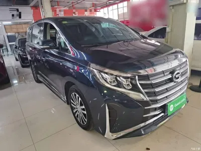 2021 GAC Trumpchi Trumpchi M8 Leading Show Series 390T Ultimate Edition, фото 4, лот 10421625