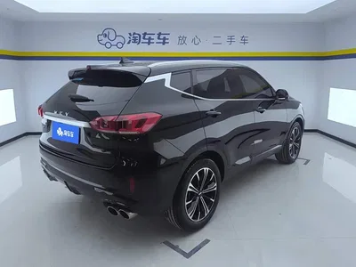 2021 WEY VV6 2.0T 2WD Smart Protection+, фото 3, лот 10898882