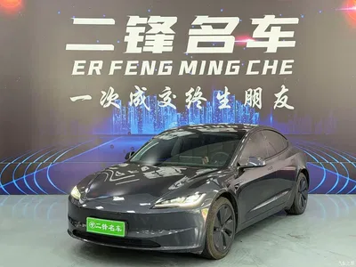2025 Tesla Model 3 Model Rear-Wheel Drive Edition, фото 1, лот 10354971
