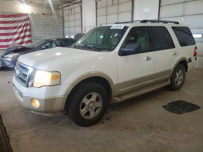 2009 FORD EXPEDITION EDDIE BAUER, фото 1, лот 10531549