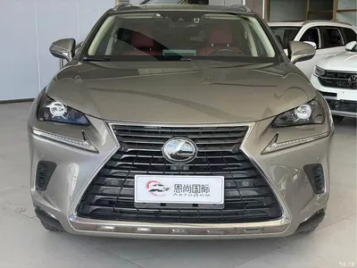 2020 Lexus NX 200 AWD F Sport China VI, фото 2, лот 10318875
