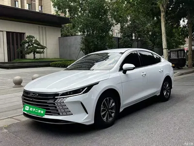 2024 BYD Destroyer 05 Glory Edition DM-i 55KM Luxury, фото 2, лот 10385488