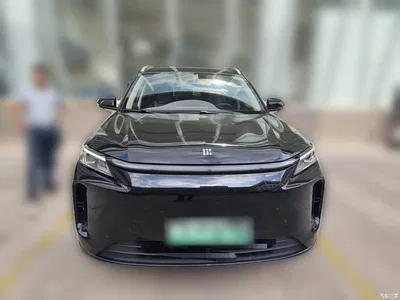 2025 Landian E5 PLUS 165km Long Range Travel Custom Edition 7-seater, фото 2, лот 11643605