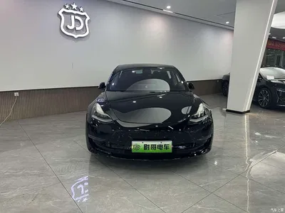 2020 Tesla Model 3 Long Range Rear-Wheel Drive, фото 2, лот 10355186