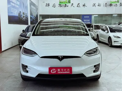 2016 Tesla Model X 75D, фото 2, лот 10357214