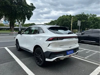 2024 Dongfeng Fengxing T5 EVO Racing Edition 1.5TD DCT Mach Diamond, фото 4, лот 11161048