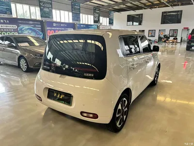 2020 Ora White Cat 305km Luxury, фото 4, лот 10330853