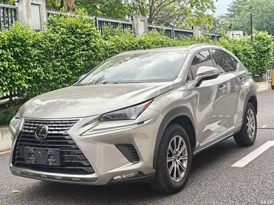 2018 Lexus NX Model 200 AWD Fengshang Edition China V, фото 1, лот 10313223