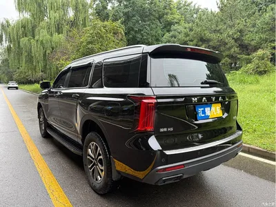2023 Haval H5 2.0T Automatic AWD Leading Elite Gasoline, фото 4, лот 10282572