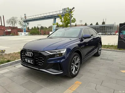 2019 Audi Q8 55 TFSI Premium Dynamic, фото 2, лот 11017395