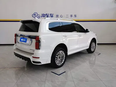2022 Tank 500 3.0T Business Edition Zaojing 5-Seater, фото 3, лот 10355402