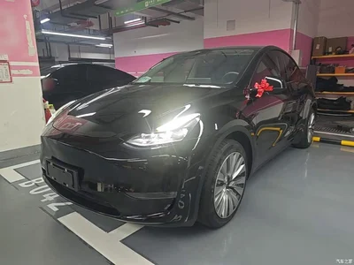 2021 Tesla Model Y Standard Range Rear-Wheel Drive, фото 2, лот 11192090