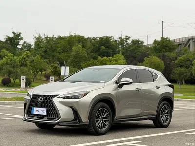 2022 Lexus NX 260 FWD Joy Creation Edition, фото 1, лот 10438182