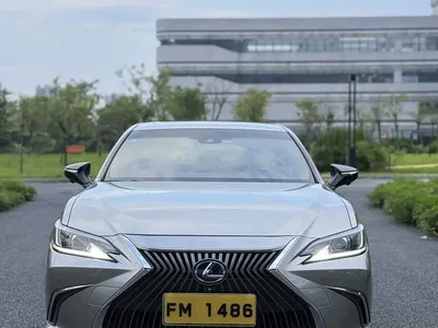 2018 Lexus ES 300h Excellence Edition China V, фото 2, лот 10479132