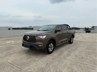 2021 Great Wall Pao 2.0T Commercial Edition Manual Diesel 2WD Elite Long Box GW4D20M, фото 1, лот 10246120