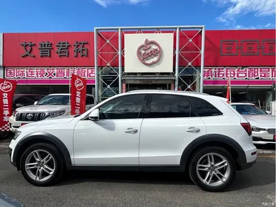 2018 Audi Q5 Collector's Edition 40 TFSI Technology, фото 3, лот 10473263