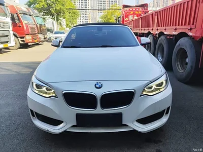 2015 BMW 2 Series (Import) 218i Convertible Coupe, фото 3, лот 11579845