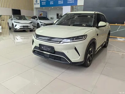2025 BYD Yuan UP Smart Drive Edition 401KM Leading Type, фото 1, лот 10275369