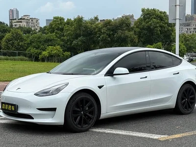2021 Tesla Model 3 Standard Range Rear-Wheel Drive Upgrade 3D6, фото 1, лот 10352784