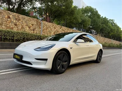 2019 Tesla Model 3 Standard Range Rear-Wheel Drive Upgrade, фото 1, лот 10355085