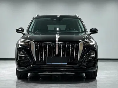 2023 Hongqi HS5 2.0T Flag Enjoy Pro Edition, фото 2, лот 10414742
