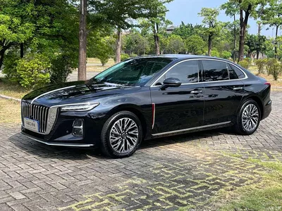 2025 Hongqi H5 2.0T Automatic Flag Celebration 500,000 Units Anniversary Edition, фото 1, лот 11139631