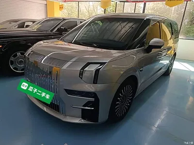 2022 ZEEKR 009 WE Edition, фото 2, лот 11582944