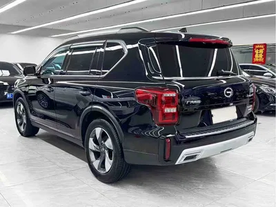 2020 GAC Trumpchi Trumpchi GS8 GS8S 390T 2WD Luxury Smart Connect Edition, фото 4, лот 10415618