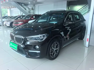 2016 BMW X1 sDrive20Li Luxury Model, фото 1, лот 11215538