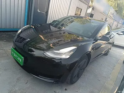 2020 Tesla Model 3 Facelift Standard Range RWD Upgrade, фото 1, лот 11579902