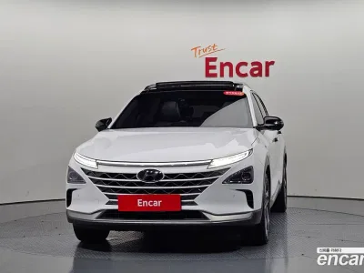 2019 Hyundai Nexo Premium, фото 1, лот 10039691