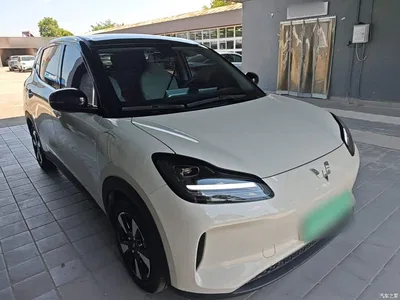 2024 Wuling Motors Wuling Binguo PLUS Model 330km 5-Seater, фото 4, лот 10836141