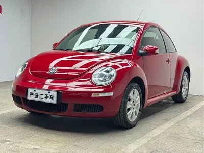 2010 Volkswagen Beetle Model 1.6 AT, фото 1, лот 10474020