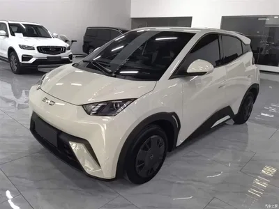 2024 BYD Seagull Glory Edition 305km Vitality Edition, фото 1, лот 10263007