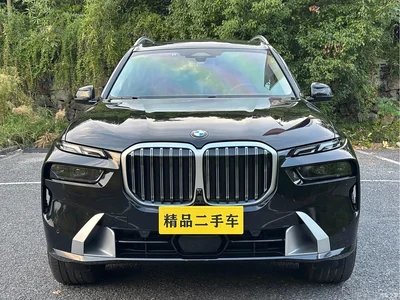 2023 BMW X7 xDrive40i Leading Luxury Package, фото 2, лот 11193619