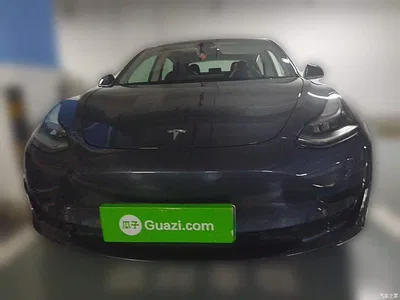 2020 Tesla Model 3 Standard Range Rear-Wheel Drive Upgrade, фото 3, лот 10331397