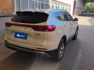 2021 Haval H6 National Trend Edition 1.5GDIT Automatic Champion Edition, фото 3, лот 10768106