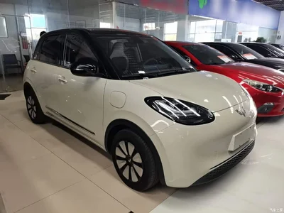 2023 Wuling Motors Wuling Bingo 410km Lingxi Premium Edition, фото 4, лот 11584732