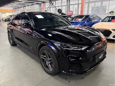 2021 Ford Mustang Mach-E GT, фото 3, лот 10837928