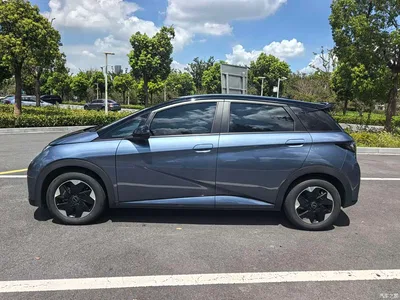 2025 BYD Dolphin 420km Freedom Edition, фото 4, лот 10256868
