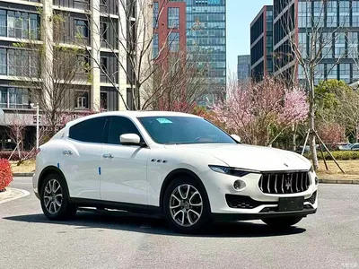 2019 Maserati Levante 3.0T Standard Edition China VI, фото 3, лот 10321675