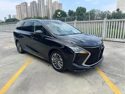 2022 Dongfeng Fengxing Yacht 1.5T DCT Wave Chaser Edition, фото 3, лот 11144772