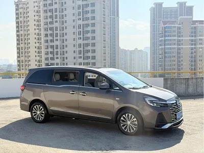 2022 Buick GL8 Land Business Class 652T Luxury, фото 3, лот 10253528